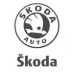 Штатная магнитола Gazer CM5509-NJ Skoda Fabia (NJ) (2015-2017) Штатная магнитола Gazer CM5509-NJ Skoda Fabia (NJ) (2015-2017)