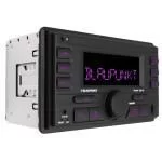 2-DIN медиа-ресивер Blaupunkt PALMA 190BT 2-DIN медиа-ресивер Blaupunkt PALMA 190BT