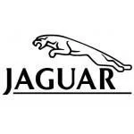 Мультимедийный видео интерфейс Gazer VC500-JLR/CAM (Jaguar/Land Rover) Мультимедийный видео интерфейс Gazer VC500-JLR/CAM (Jaguar/Land Rover)